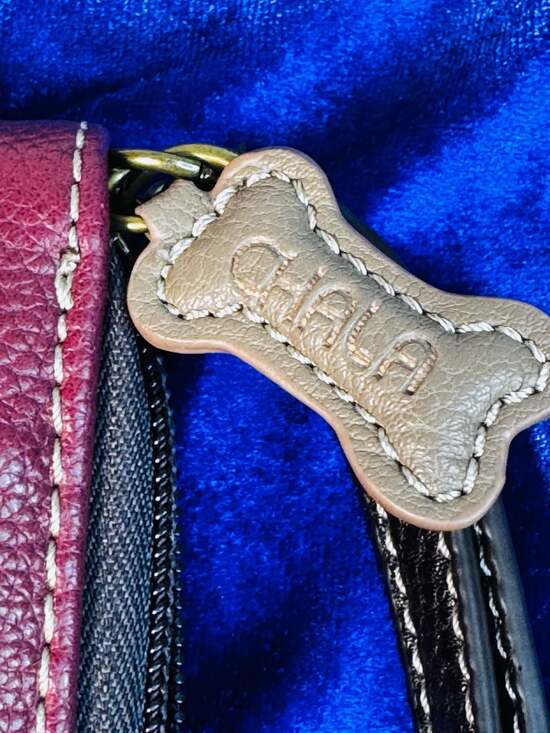 Chala - Picture 4 of 8